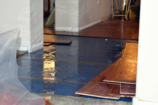 Professional Water Extraction technician working in Rhome, TX